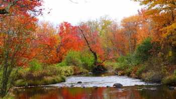 Little River Bed & Breakfast