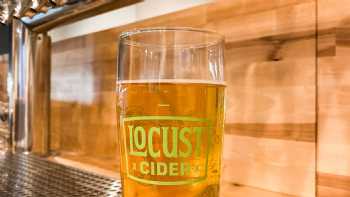 Locust Cider Gig Harbor