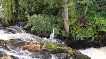 Heart of Hawick 