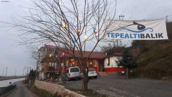 Tepealtı Balık