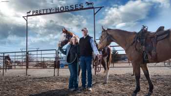 Pretty-Horses horse motel