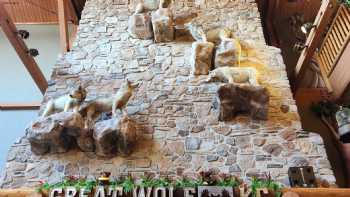 Great Wolf Lodge Water Park | Kansas City