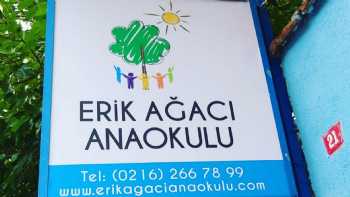 Erik Ağacı Montessori Anaokulu