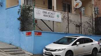 Erik Ağacı Montessori Anaokulu