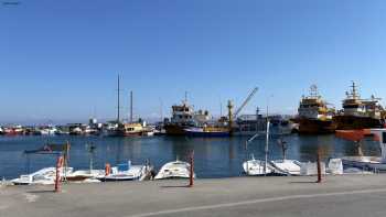 Barınak Cafe