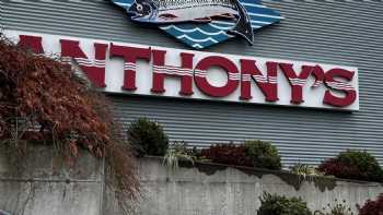 Anthony's at Squalicum Harbor