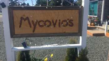 MyCovio’s