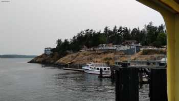 Orcas Island Boardwalk