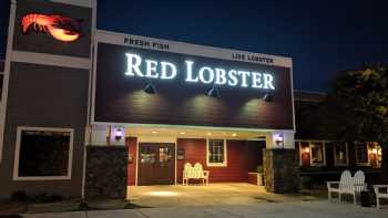 Red Lobster