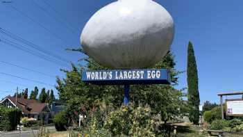 World's Largest Egg