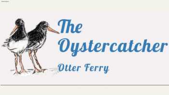 The Oystercatcher