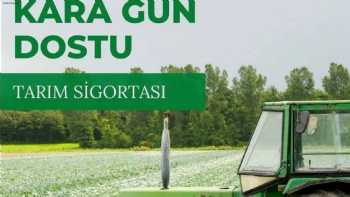 Mert Grup Sigorta Shop Biga