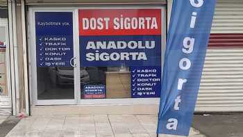 Dost Sigorta