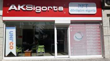 Nft Dönüşüm Sigorta