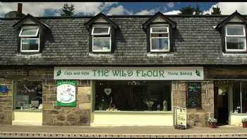 The Wild Flour