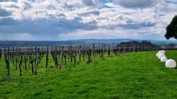 Weinstube Amalienhof