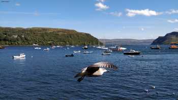 Harbour Chip Shop