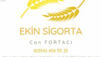 Ekin Sigorta - Can Fortacı