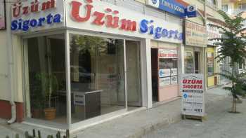 ÜZÜM SİGORTA