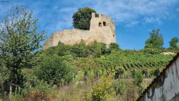 Weinhof Burg Lichteneck