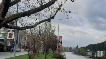 Yalova Ticaret ve Sanayi Odası