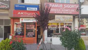 Samur Sigorta