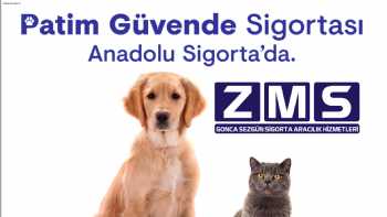 ZMS SİGORTA