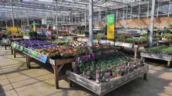 Dobbies Garden Centre Sandyholm