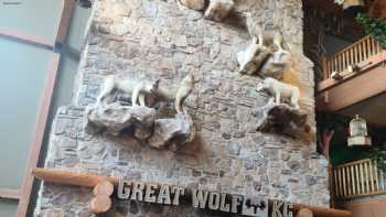 Great Wolf Lodge Water Park | Kansas City