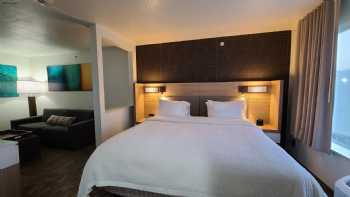 SpringHill Suites by Marriott Dallas Arlington North