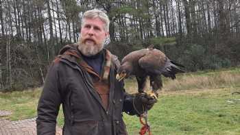 Strathblane Falconry