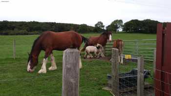 Langholm Farm