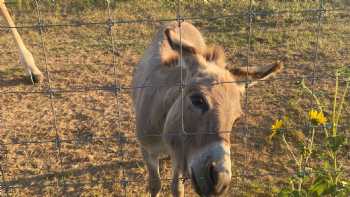 Blue Hills Ranch