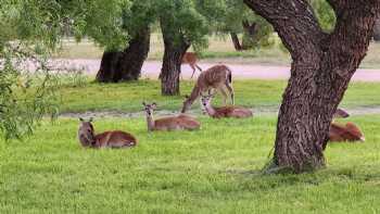 Wildcat RV and Paint Creek MH Parks