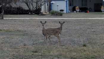 Elm Creek R.V. & Campgrounds