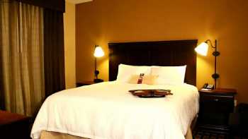 Hampton Inn & Suites Palestine