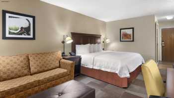 Hampton Inn Dallas-Irving-Las Colinas