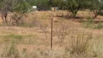 The Salt Lick Ranch