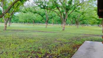 Frio Pecan Farm Cabins & RV