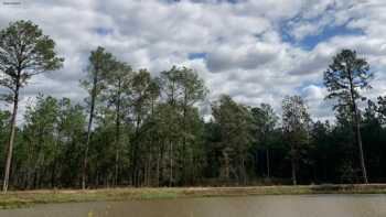 Piney Woods RV Park