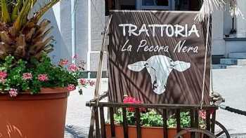 Trattoria La Pecora Nera