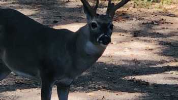 Kelleys Lake Fork Cottage Bed and Breakfast