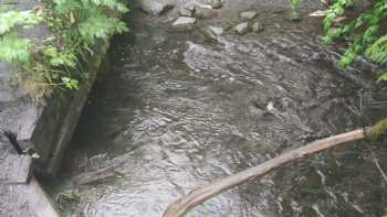 Bear Creek Weir