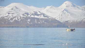 Port of Dutch Harbor