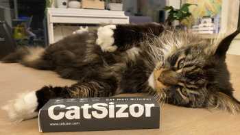 CatSizor Nail Grinder