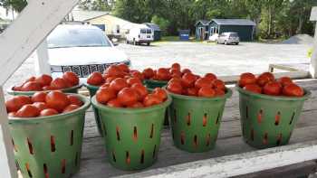 Ocean View Produce