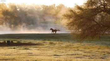 Hoof Prints Ranch