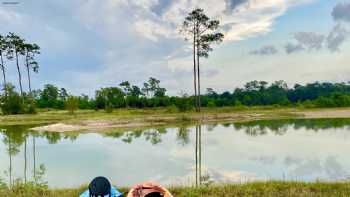 Grand Pines of Texas RV Resort