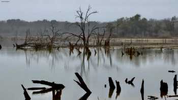 Reynolds Creek Park