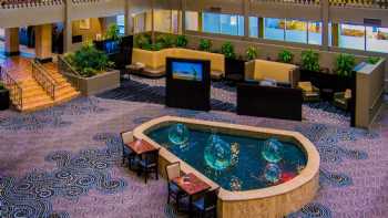 DoubleTree Suites by Hilton Hotel McAllen